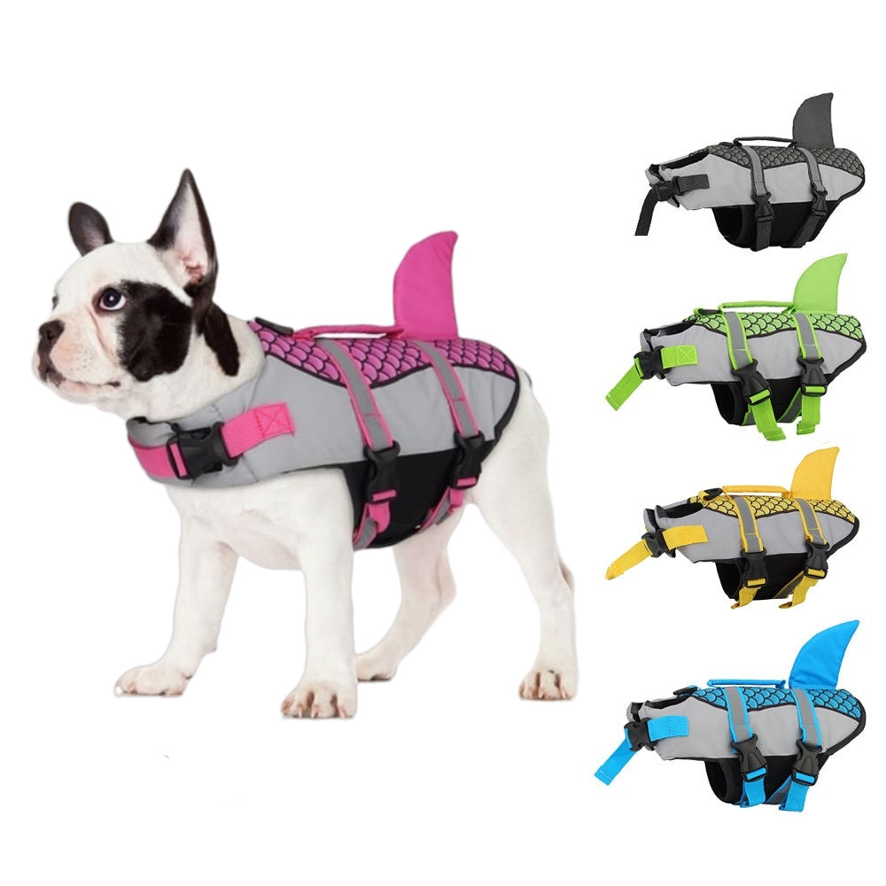 Safety