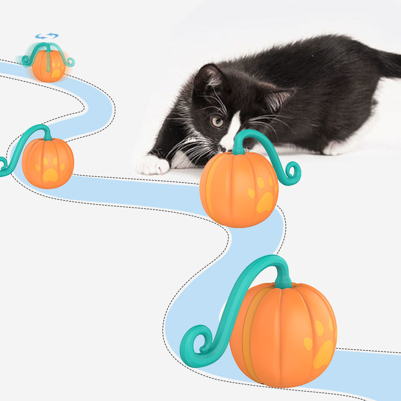 Interactive Electric Ball – Keep Cats Active & Happy