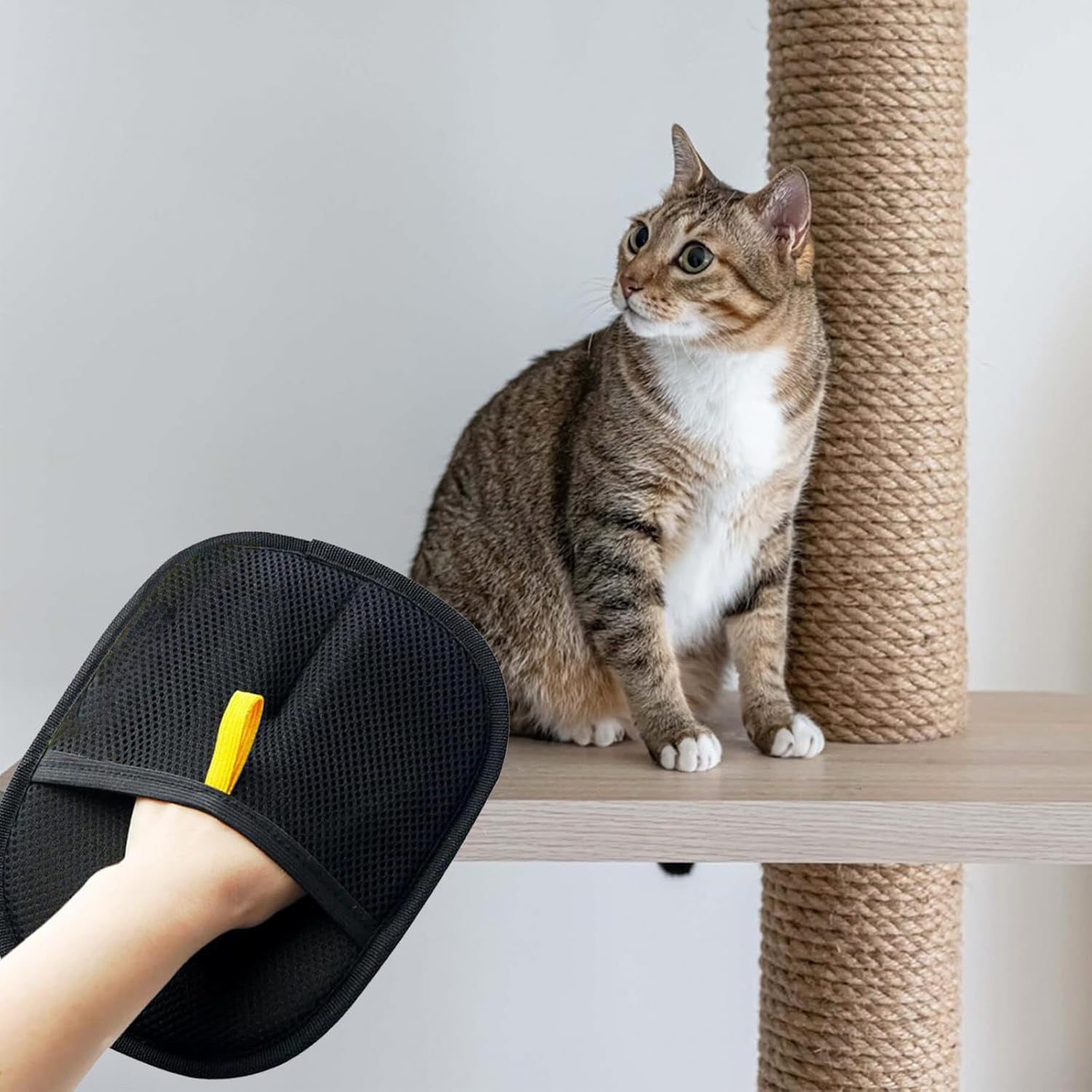 Electrostatic Pet Grooming Glove – Clean Fur Easily