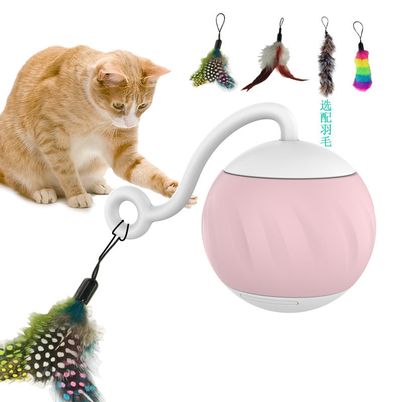 Interactive Electric Ball – Keep Cats Active & Happy